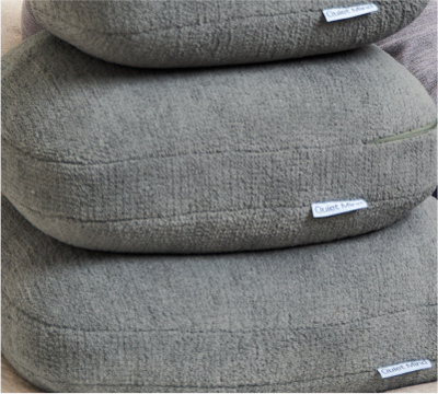 Agave Green Pillow Cover