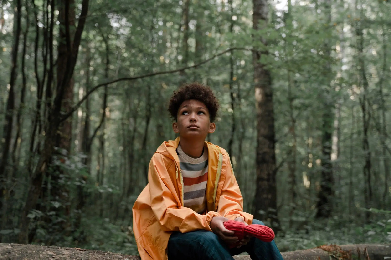 Boy in a yellow jacket sitting on a rock in the forest, looking up thoughtfully.